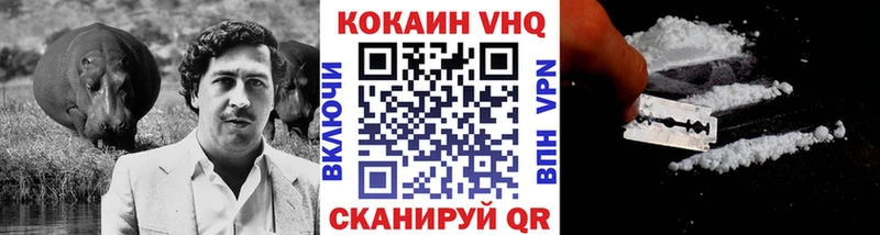 COCAIN Fish Scale  Купить  Пикалёво 
