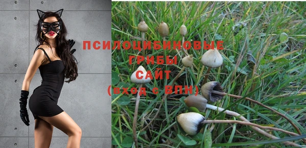 дмт Навашино